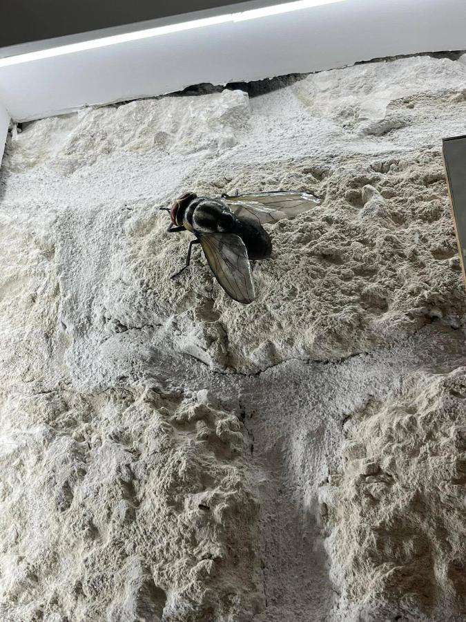 I Bastioni Apartment باليرمو المظهر الخارجي الصورة